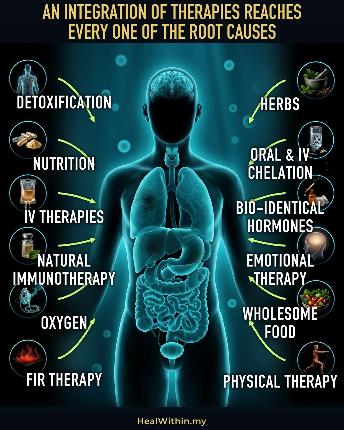 An integration of therapies reaching the body: the same restored body and the same returned-to-normal fluid environment as the reversal infographic, ringed by twelve therapies, each drawn inside its own emblem with an arrow running from it into the body — detoxification, nutrition, IV therapies, natural immunotherapy, oxygen and FIR therapy down one side; herbs, light, autohemo therapy, mental and emotional healing, wholesome food and physical therapy down the other. The Root Causes themselves are not drawn here: this picture is what reaches them.