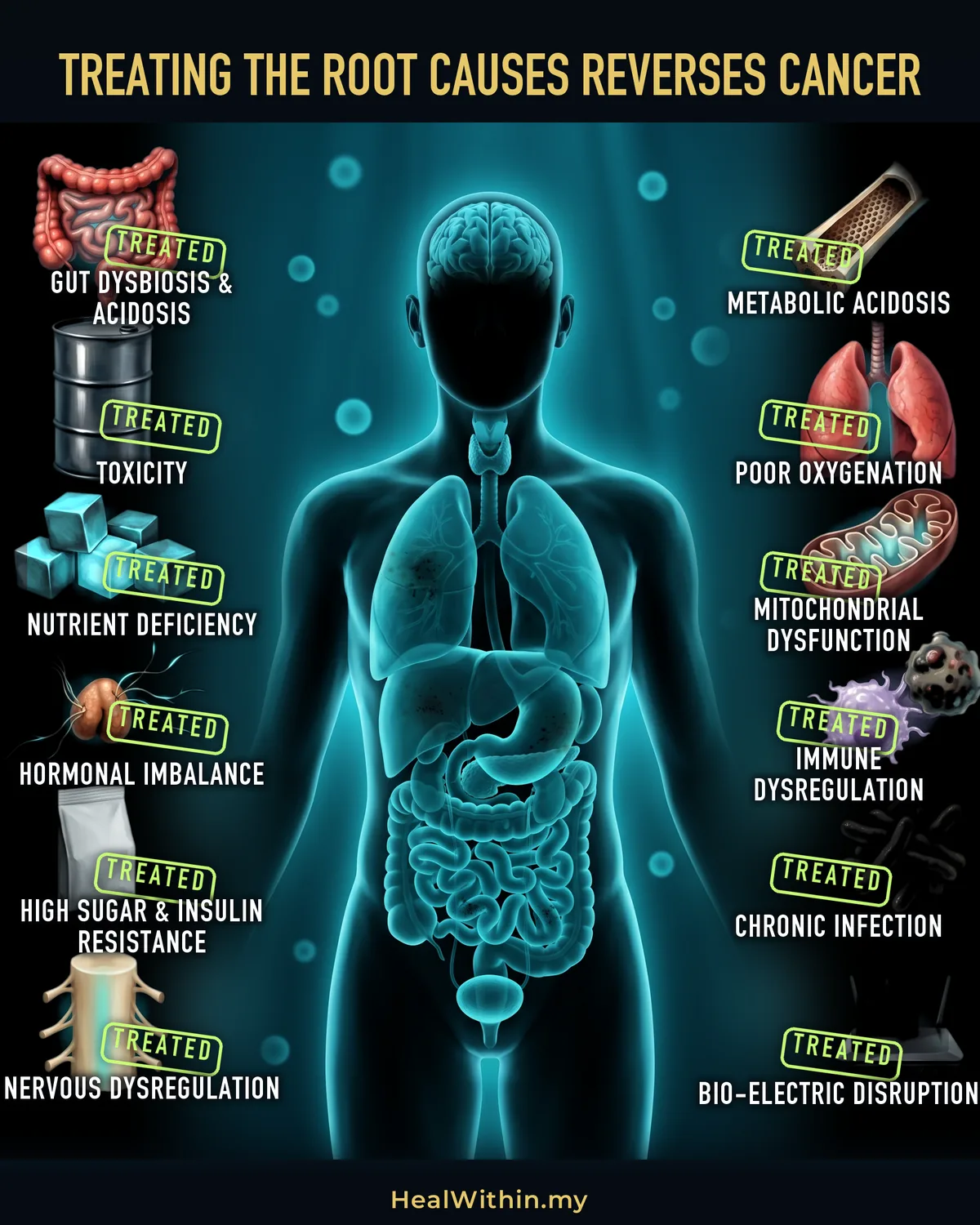The reversal: the same body and the same Root Causes as the previousinfographic, now treated. Every one of them is put right — the gut clean, the toxic source sealed, the nutrients restored, the glands signalling, the sugar shut away, the nerves calm, the bone rebuilt, the lungs open, the mitochondria intact, immunity working, the infection cleared, the EMF source switched off. The fluid environment around the cells has returned to normal, the organs are lit and working again, and only faint scarring is left where the tumours were in the lung, the liver and the stomach.